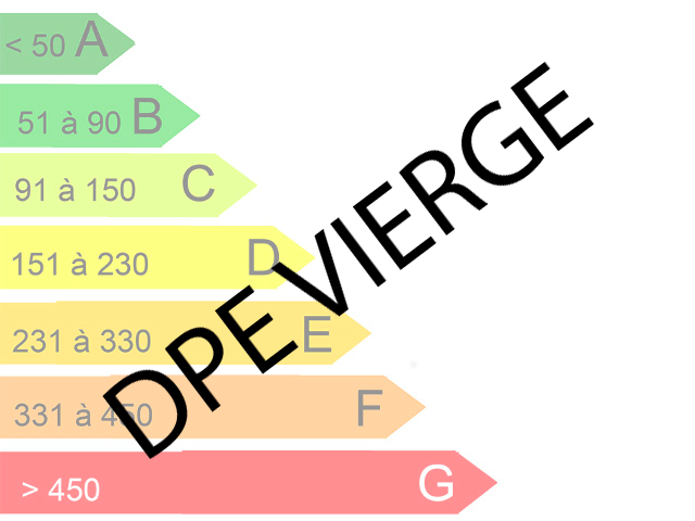 DPE vierge